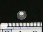 Show details for FILTER Picture of FILTER