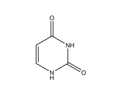 Picture of Uracil